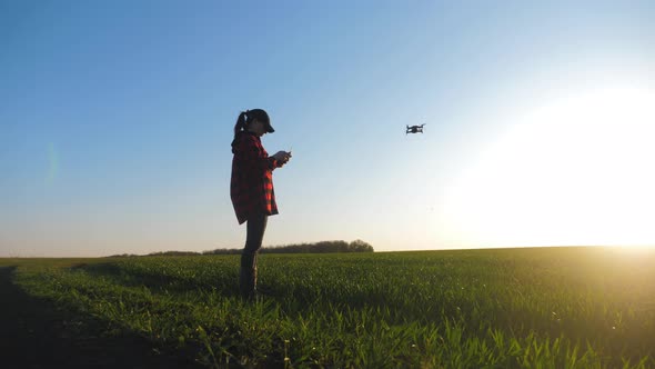 Silhouette of a Girl Farmer Using a Drone in a Wheat Field at Sunset. Concept Technology Innovations