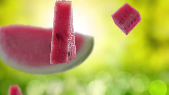 Flying of Watermelon and Slices in Garden Background