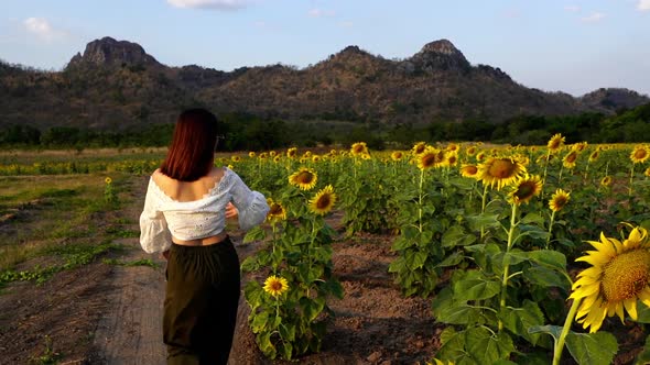 slow-motion of cheerful woman running and enjoying with sunflower field