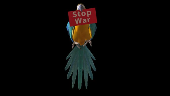 Parrtot Fly And Land With Stop War Placard 1