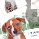 Pet Shop: Fanpage Cover Photo - GraphicRiver Item for Sale