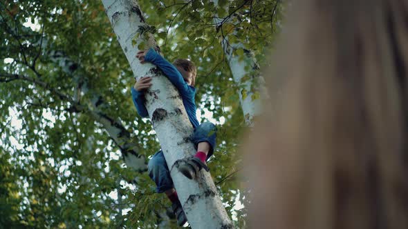 Mom Looks at His Children Who are Climbing Trees