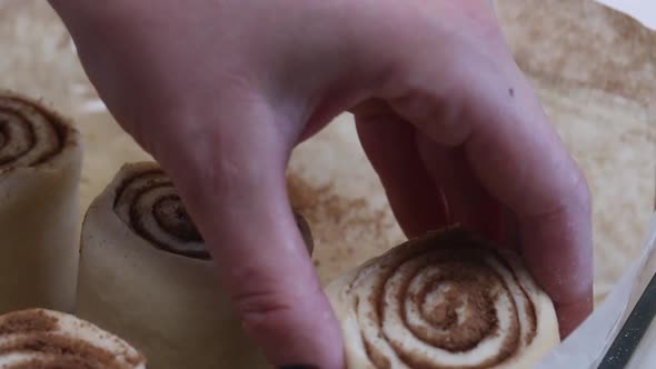 A Woman Puts Sliced Dough With Cinnamon Into A Baking Dish For Baking Cinnabons. Close Up Shot