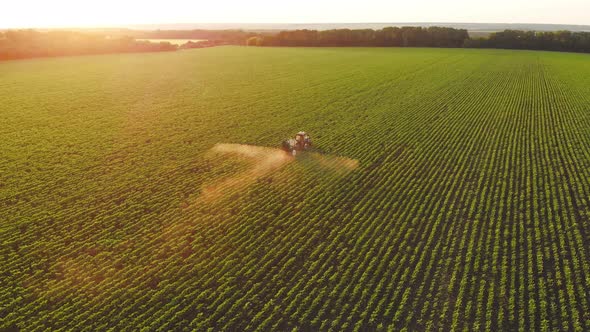 Aerial View of Farming Tractor Spraying on Field with Sprayer Herbicides and Pesticides at Sunset