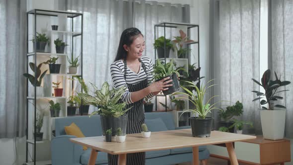 Side View Of Smiling Asian Woman Looking At The Plant In Hand And Shaking Her Head
