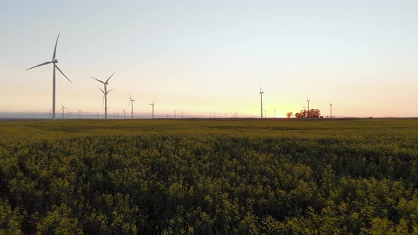 General view of wind turbines in countryside landscape with cloudless sky