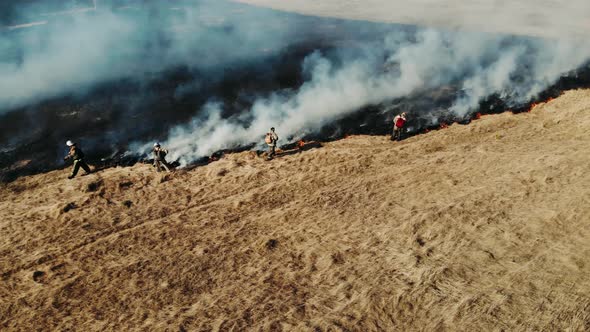 Group of Firefighters Throw Water with a Fire Hose to Put Out a Fire in a Forest