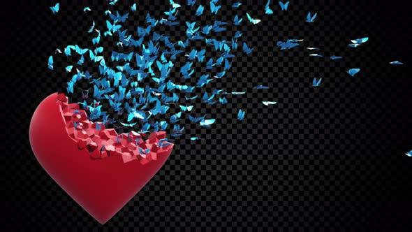 Heart And Butterflies alt