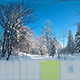 MW3DHDR0005 Snowy Winter Scene in the Forest - 3DOcean Item for Sale