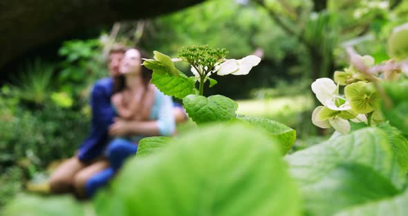 Romantic couple sitting together in park