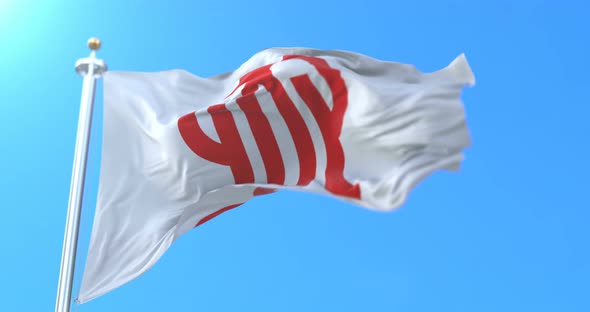 Kanagawa Flag, Japan