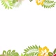 Floral Frames - 3 Clips - VideoHive Item for Sale