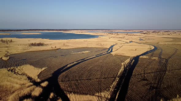 Aerial view of the lake overgrown with brown reeds, lake Pape nature park, Rucava, Latvia, sunny spr