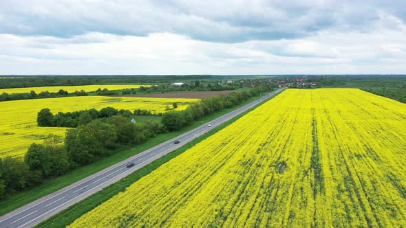 Yellow Rapeseed Field Panorama Between the Freeway with Beautiul Cloudy Sky Aerial View