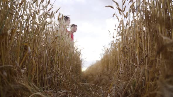 Young couple in love walk hand in hand through a wheat field on path.Slow motion