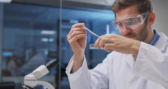 Scientist Taking Samples From Tubes in the Laboratory Uses Petri Dish alt