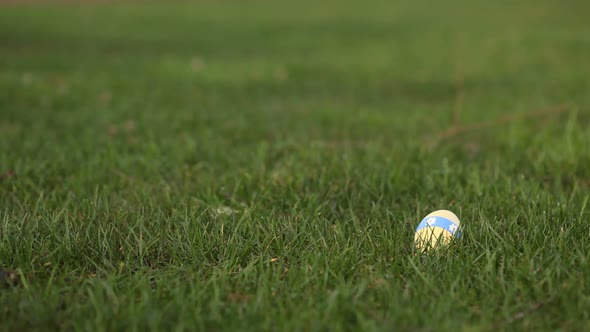 Easter egg hunt, closeup