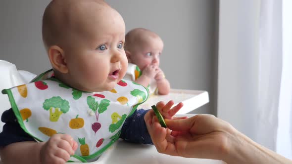 Mother Giving Her Baby Twins A Cucumber. Healthy Fresh Food For Babies. 