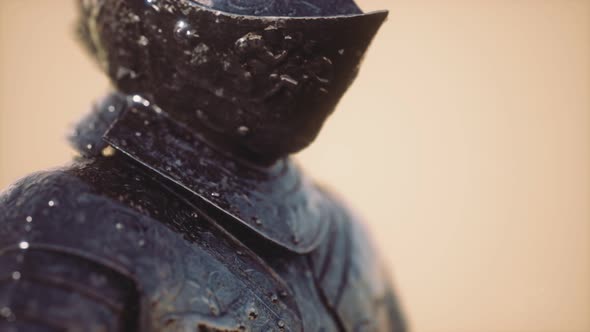 Armour of the Medieval Knight alt