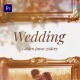 Wedding Golden Frame Gallery - VideoHive Item for Sale