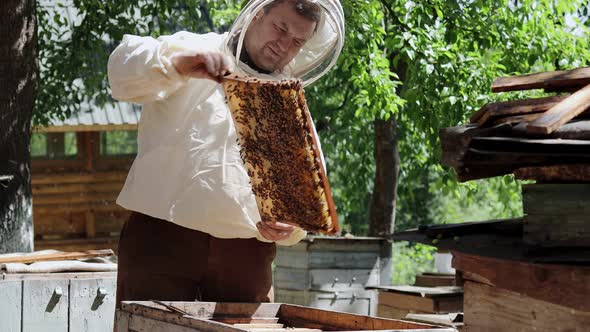 Beekeeper in a protective suit works with honeycombs. A farmer in a bee suit works with honeycombs