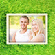 Photos On Grass - VideoHive Item for Sale