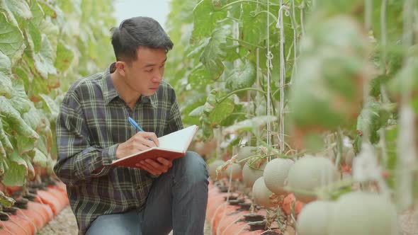 Asian Farmer Is Documenting Data The Yield And Growth Of Melons In Organic Farms With Book