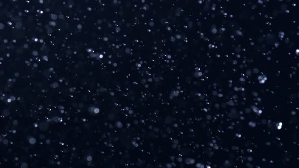 Rain, Slow Motion alt