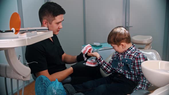 A Little Boy Having a Treatment in the Modern Dentistry - Explaining How To Brush Teeth on the Jaw