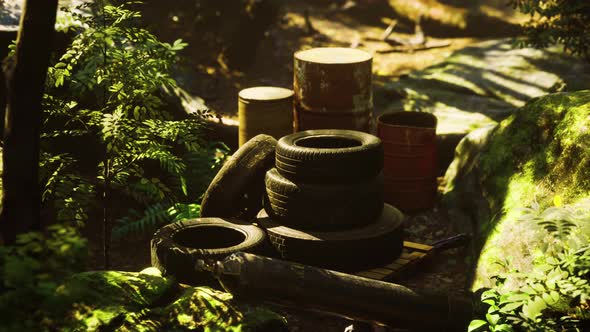 Discarded Car Tires in the Forest