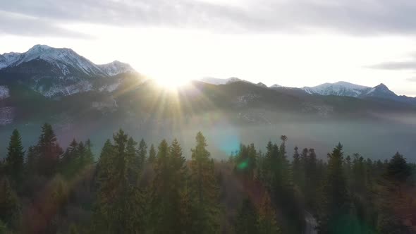 Mountains and Forest