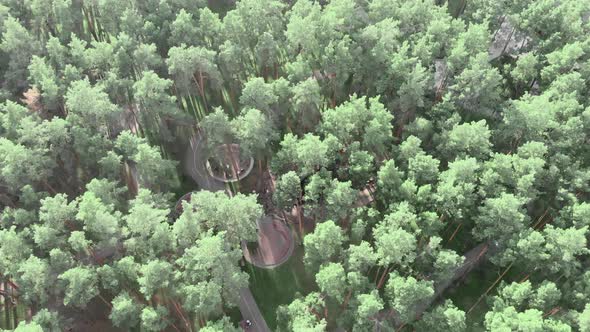 Beautiful modern pine trees city park with lake, foot and bike path and children 