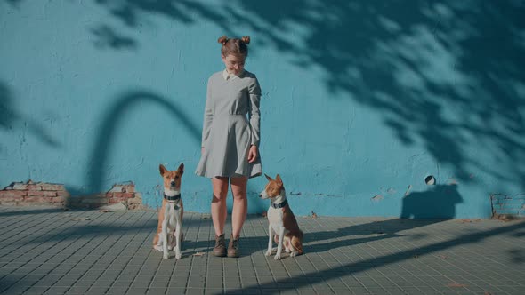 Young Pretty Woman Cynologist with Basenji Dogs