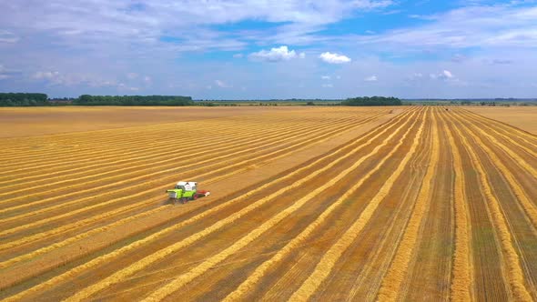 Aerial View Of Rural Landscape. Combine during harvest on golden wheat field