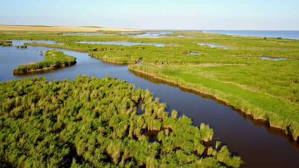 Endless Expanses Of Water And Reeds In The Danube Delta