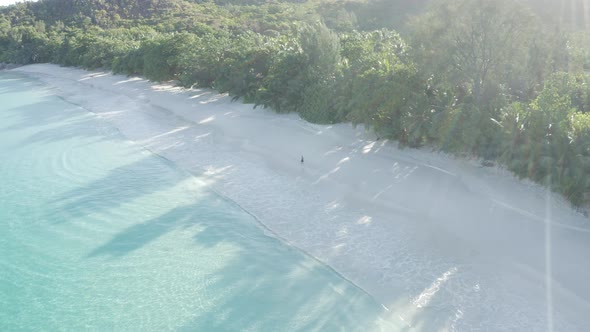 Aerial view of a person walking on the beach of Anse Lazio, Seychelles.