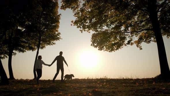 Silhouettes of a Man and Woman Family Holding Hands and Walking with a Dog During Amazing Sunset