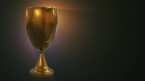 3D Trophy With Light 1 Loop