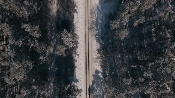 Top Down Aerial View Drone Flight Backward Over the Small Rural Road and Forest at Sunny Winter Day