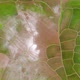 Aerial view over rice terraces in Thailand in springtime - VideoHive Item for Sale