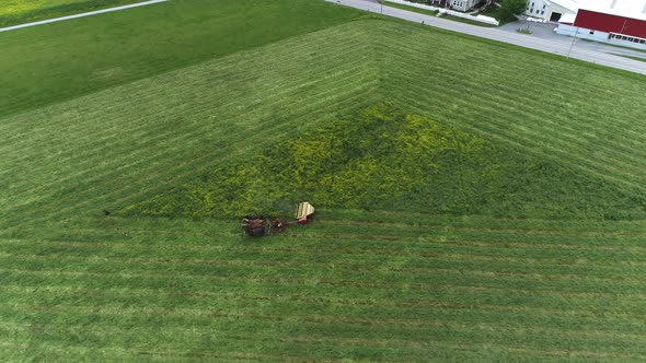 Aerial View of Amish Farm Worker Harvesting the Field in Spring With 4 Horses and 3 Dogs