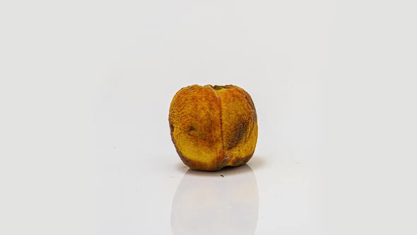 Time Lapse of Peach Rotting on a White Background, the Process of Decomposition and Decay, Shooting