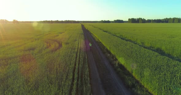 Aerial View on Young Boy, That Rides a Bicycle Thru a Wheat Grass Field on the Old Rural Road