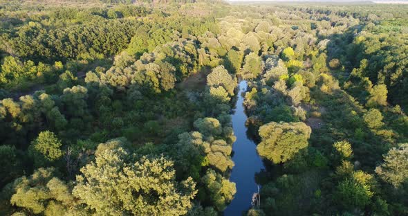 Aerial view of river and beautiful  forest. Kamchia River in Bulgaria