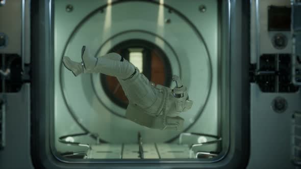 Astronaut Inside the Orbital Space Station alt