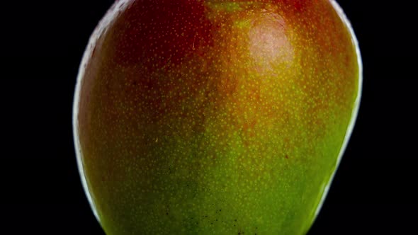 Half Ripe Mango Rotates on Isolated Black Background