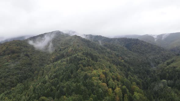 Aerial View of the Carpathian Mountains in Autumn. Ukraine