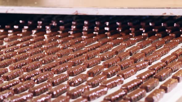 Factory Machinery with Plenty of Chocolate Sweets Moving Along