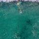Top down view of a group of people having fun in strikingly blue ocean water - VideoHive Item for Sale