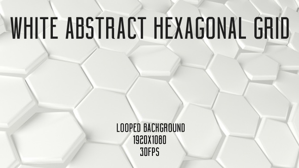 White Abstract  Hexagonal Grid